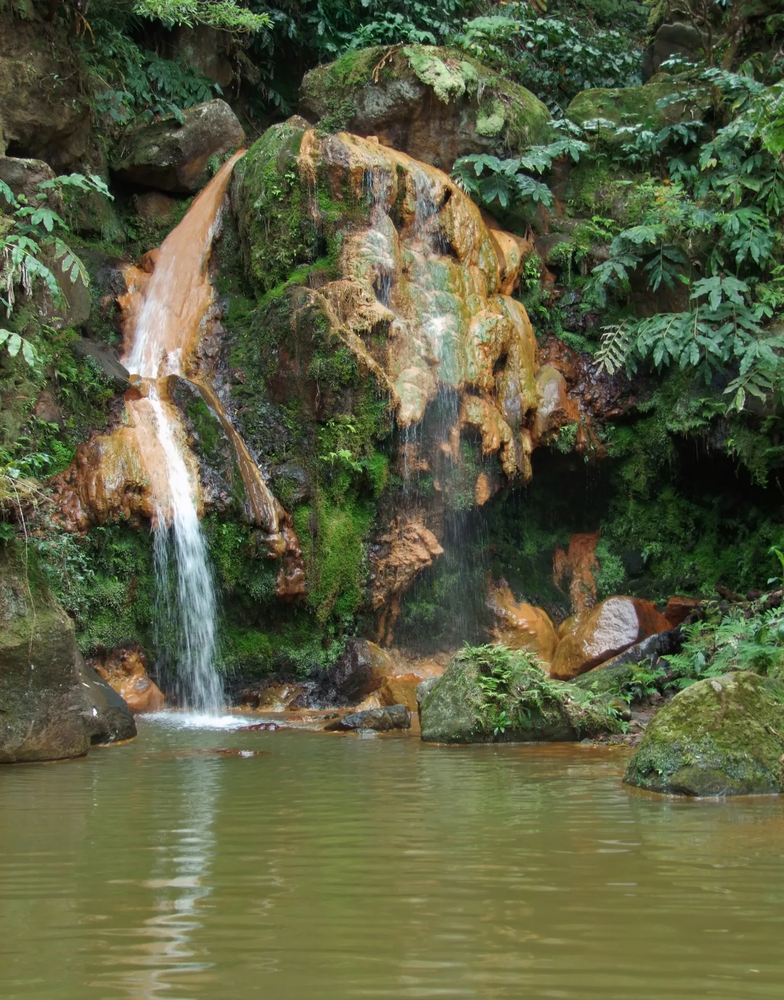 The main iron-rich thermal pool at Caldeira Velha with the warm waterfall plunging into it through laurel forest, Ribeira Grande, São Miguel, Azores