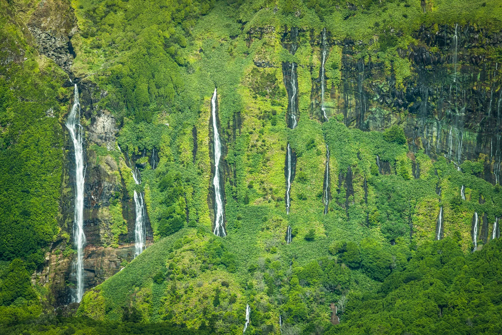 Flores Island landscape with cascading waterfalls down vertical cliffs — the signature scenery of the Azores' westernmost island, Portugal