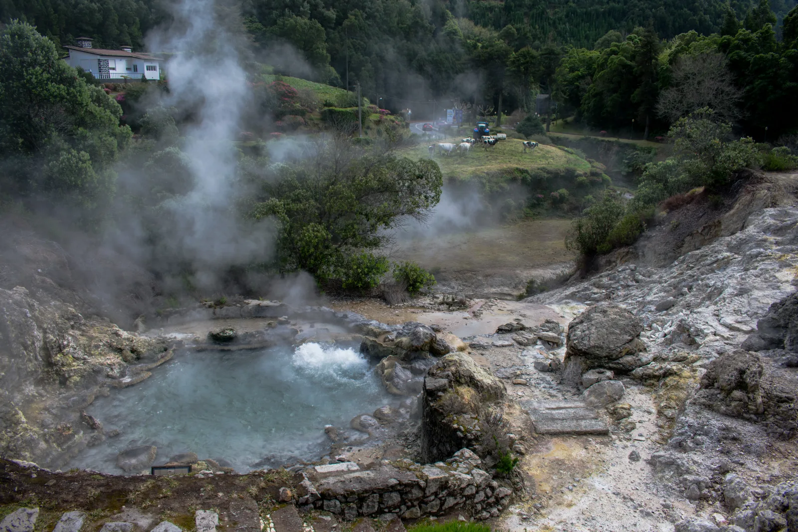 Steam rising from the caldeiras in the Furnas valley, São Miguel — the anchor of day three on most São Miguel itineraries, Azores