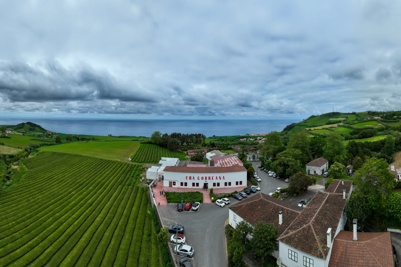 Chá Gorreana — Europe's oldest tea plantation, on São Miguel's north coast, Azores