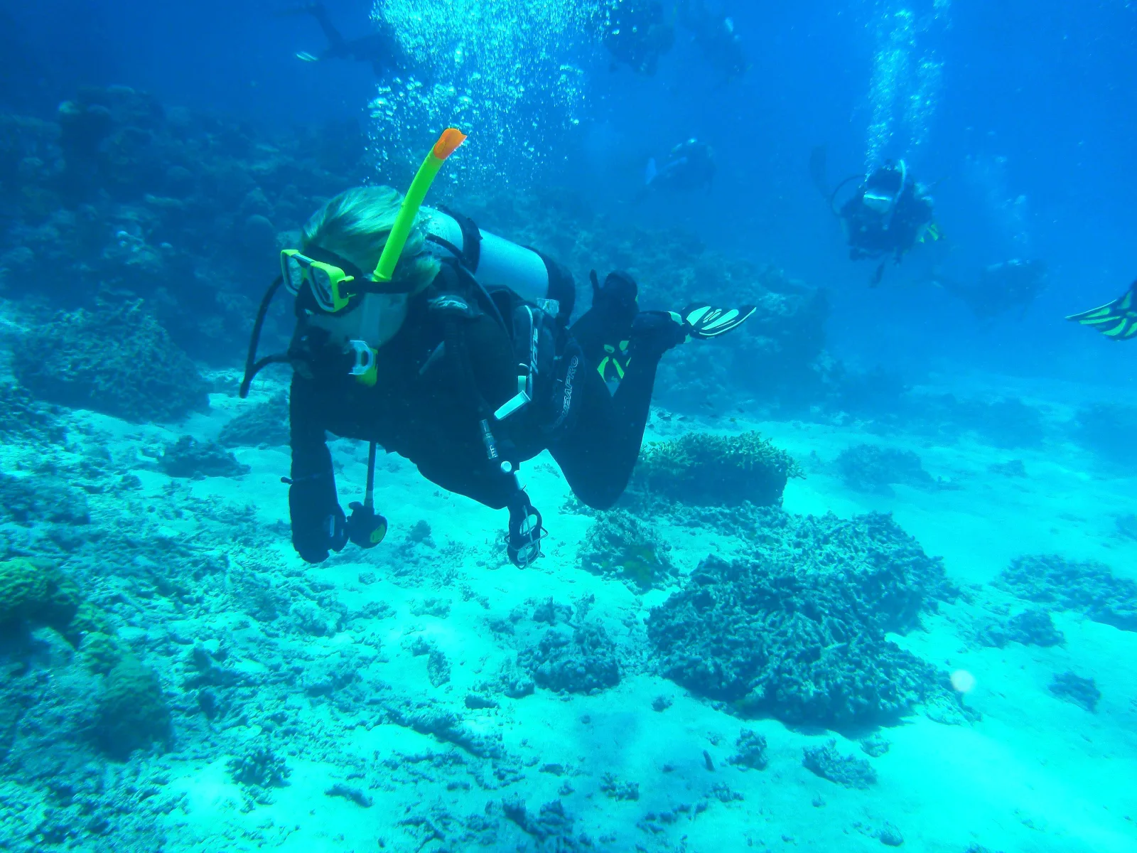Scuba divers underwater in the Azores — exploring the volcanic Atlantic dive sites off São Miguel and Pico, Portugal