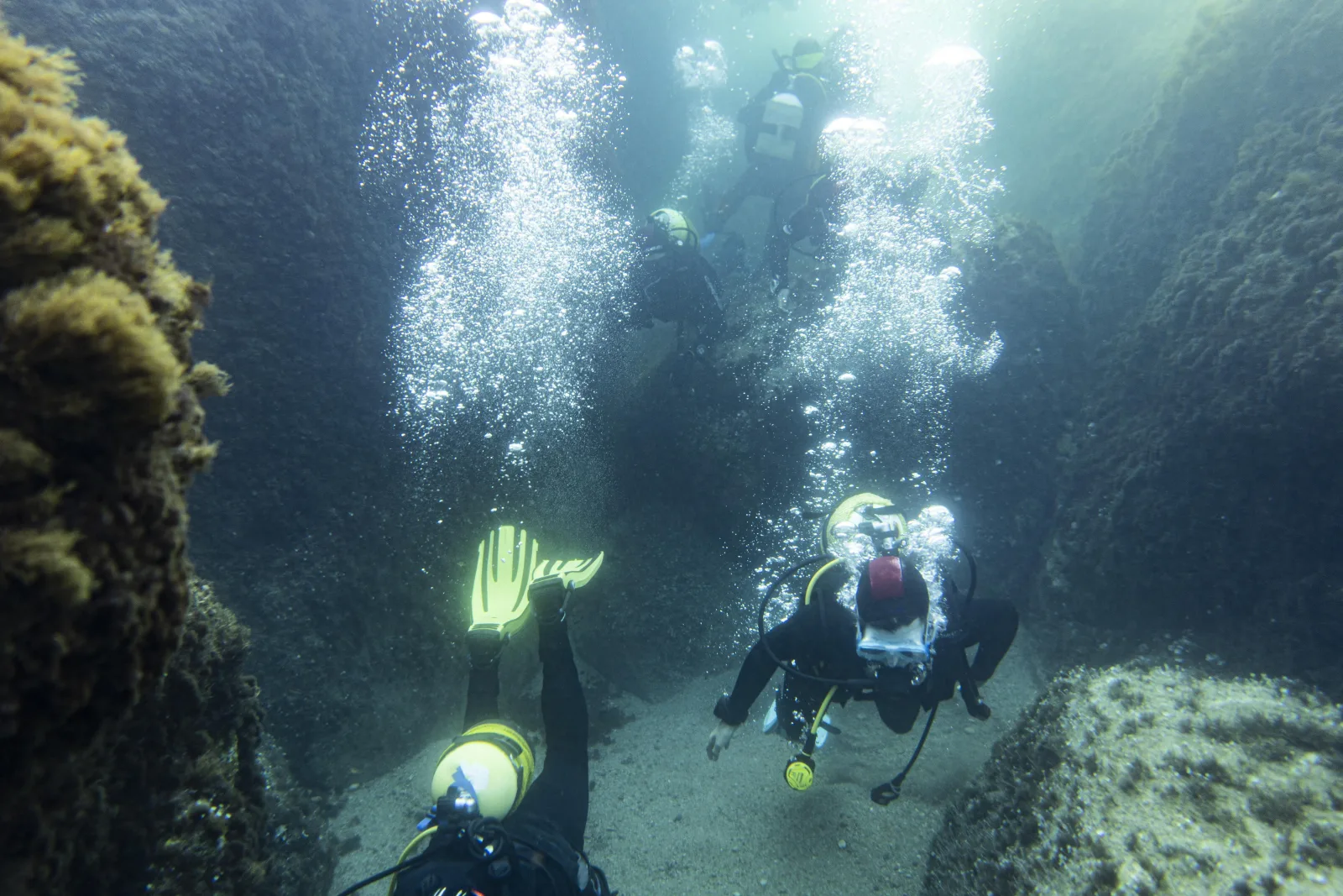 Scuba diving in the Azores — Atlantic underwater encounter on a volcanic dive site, Portugal