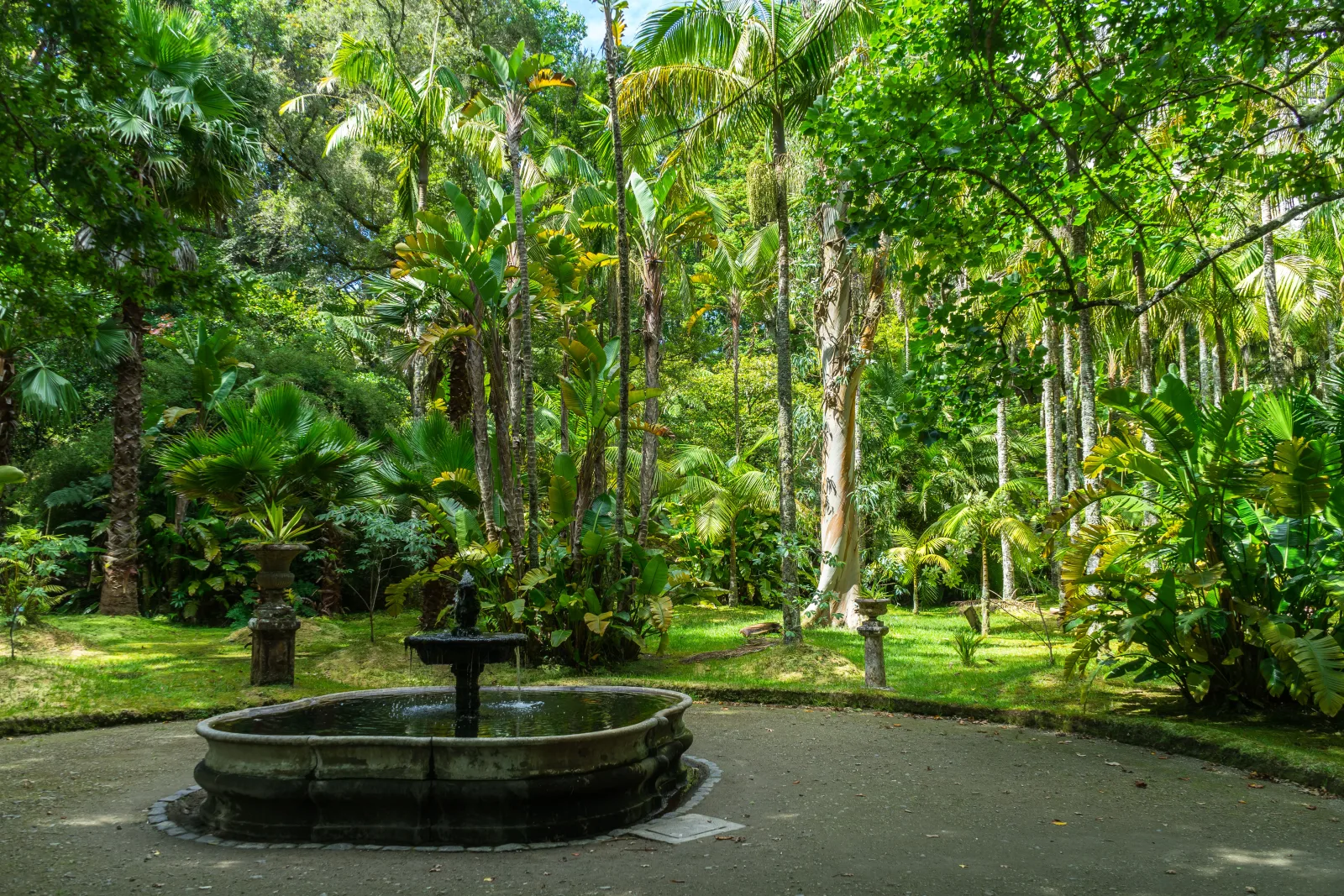 Terra Nostra Park gardens in Furnas — the botanical setting around the iconic iron-rich thermal pool, São Miguel, Azores